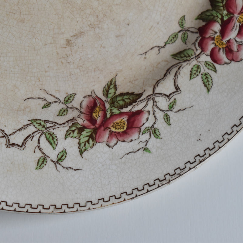 Antique Pedestal Plate U&C Sarreguemines Eglantier