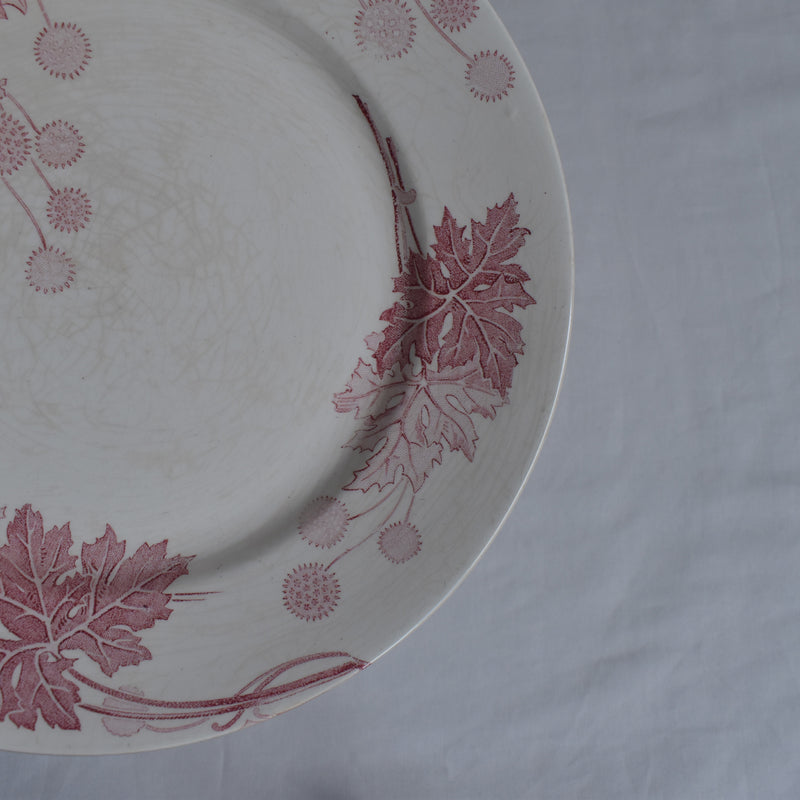 Antique Plate K&G Lunéville Platane Z