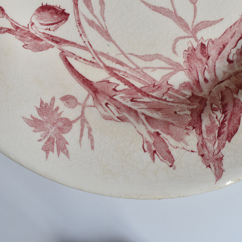 アンティーク深皿 ジアン Coquelicots