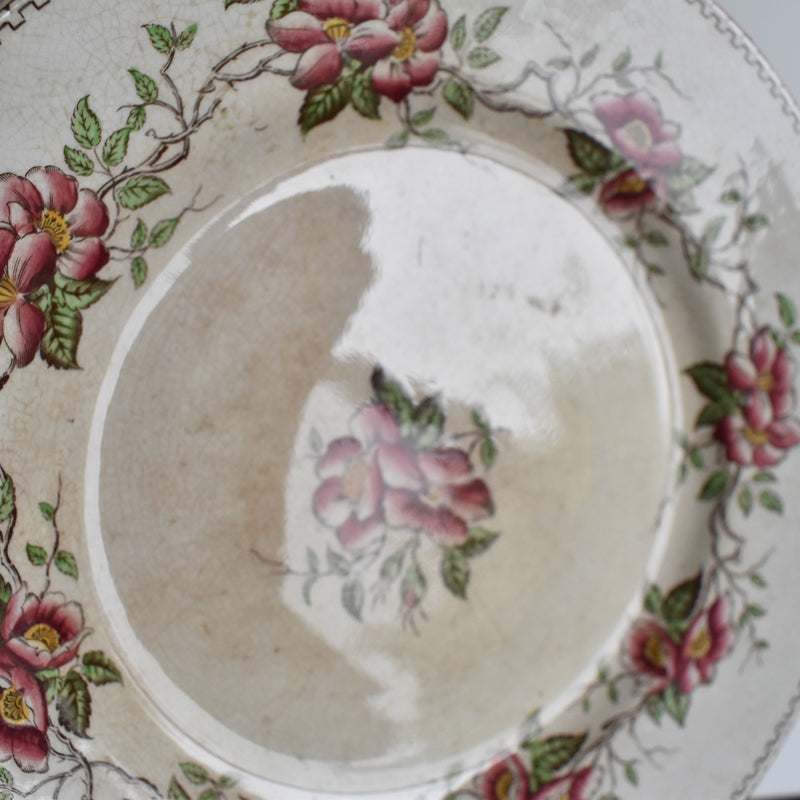 Antique Pedestal Plate U&C Sarreguemines Eglantier