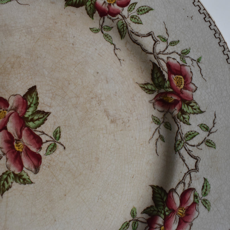 Antique Pedestal Plate U&C Sarreguemines Eglantier