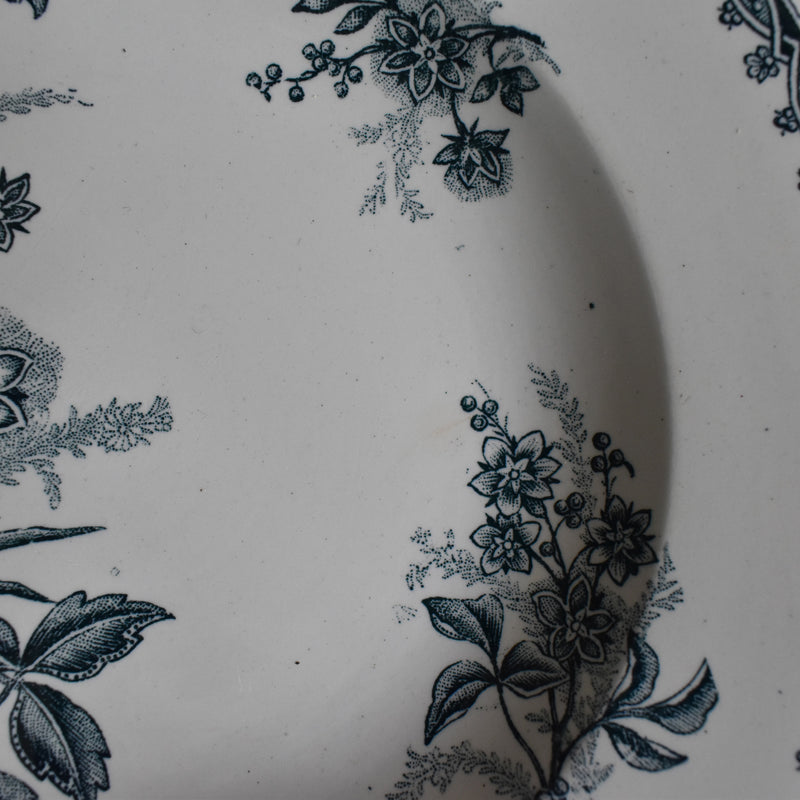 Antique deep dish - Saint-Amand Dinorose Margot