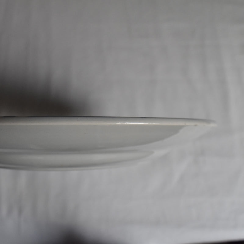Vintage Plate Digoin & Sarreguemines Canebiere B