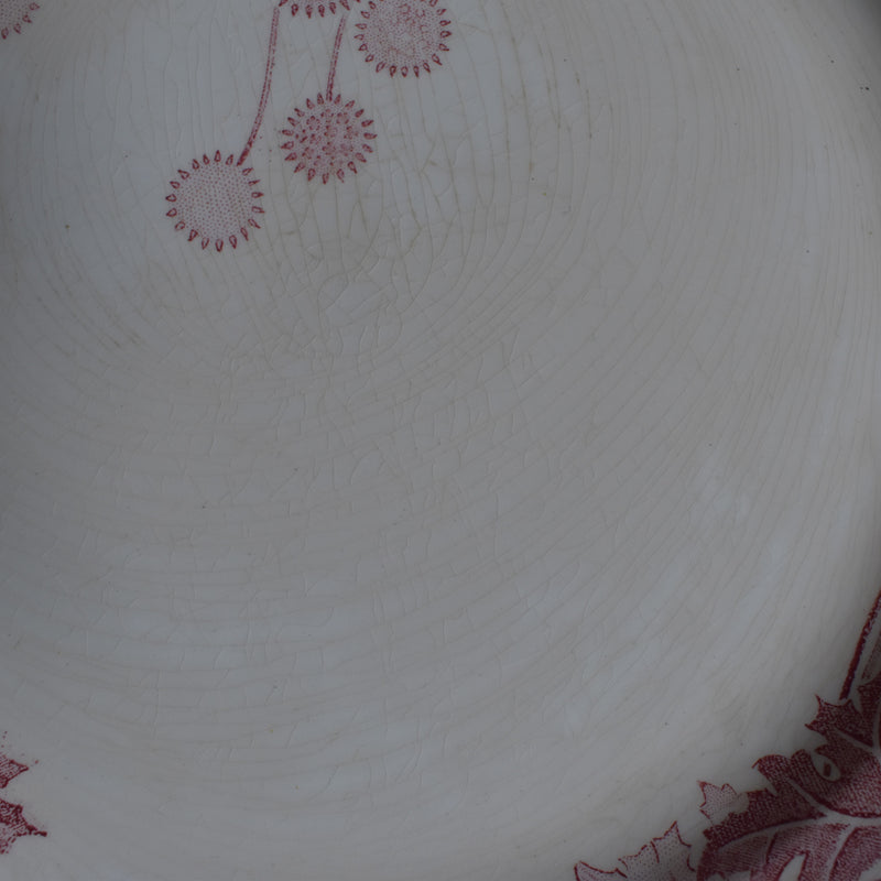 Antique Plate K&G Luneville Platane Z1
