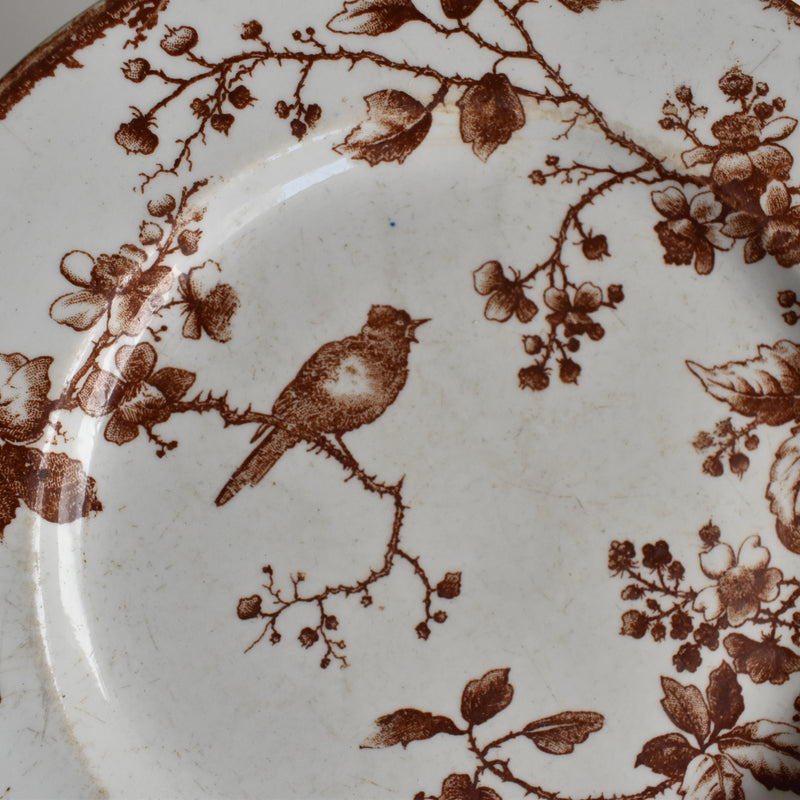 Antique Dessert Plate Gien Fauvette A
