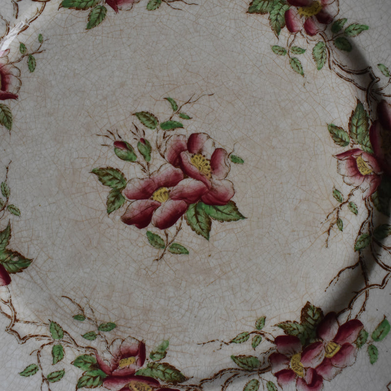 Antique dessert plate U&C Sarreguemines Eglantier A