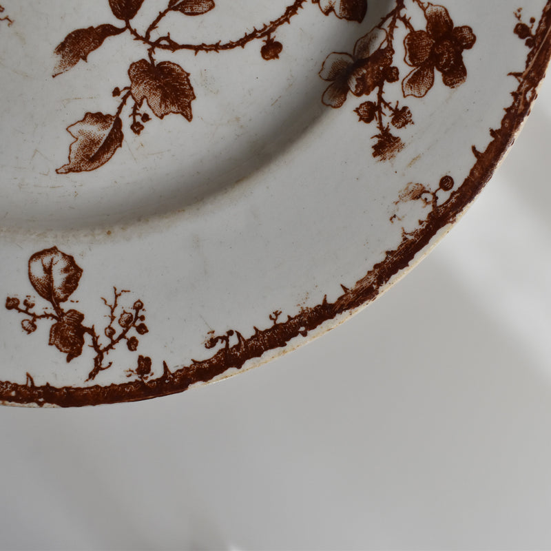 Antique Dessert Plate Gien Fauvette A
