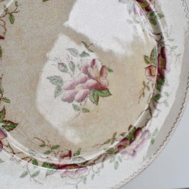 Antique dessert plate U&C Sarreguemines Eglantier A