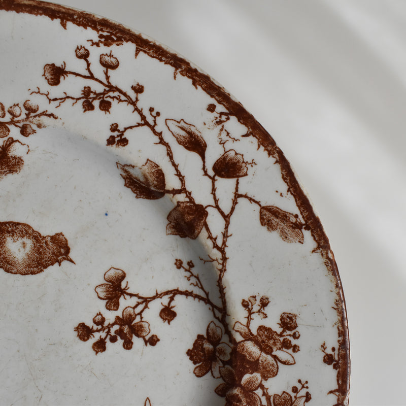 Antique Dessert Plate Gien Fauvette A