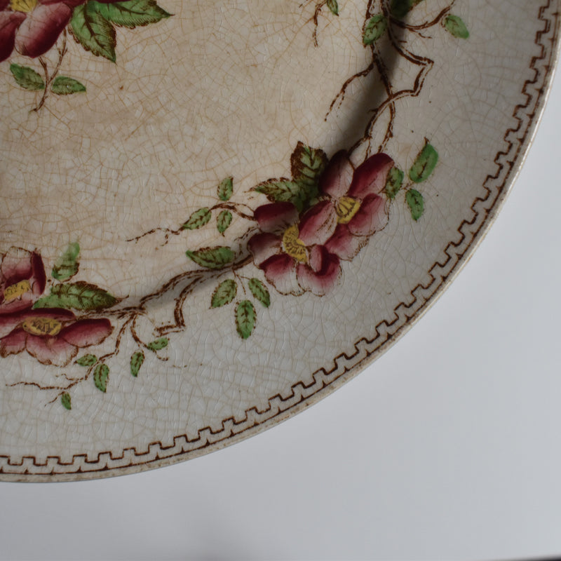 Antique dessert plate U&C Sarreguemines Eglantier A