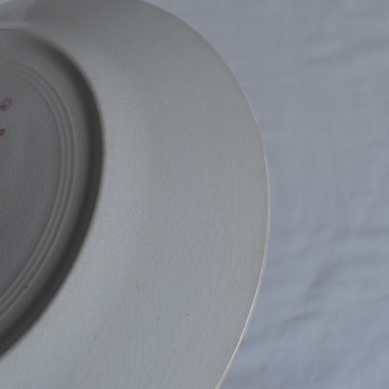 Antique plate K&G Luneville Platane Z2