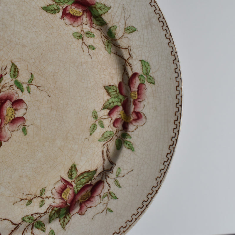 Antique dessert plate U&C Sarreguemines Eglantier A