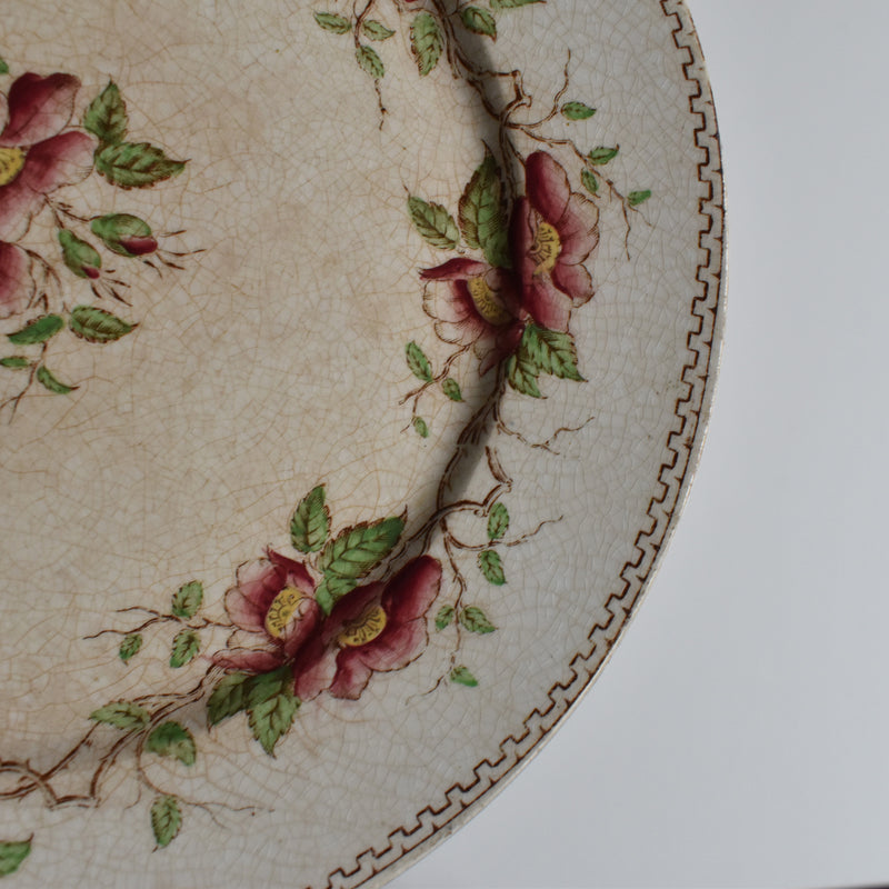 Antique dessert plate U&C Sarreguemines Eglantier A