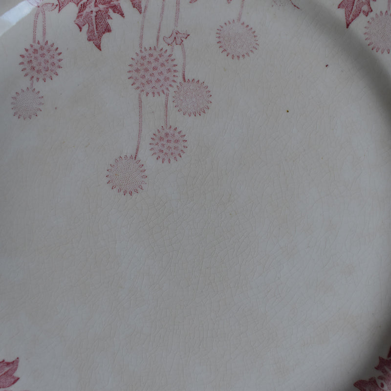 Antique plate K&G Luneville Platane Z2