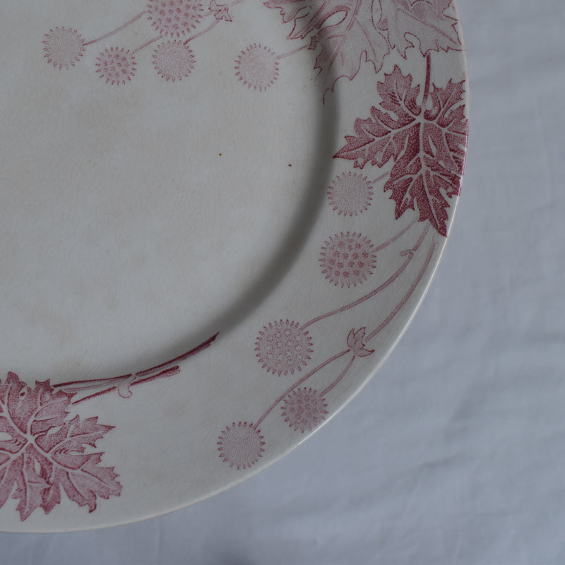 Antique plate K&G Luneville Platane Z2