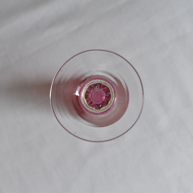 Vintage Champagne Glass - Pink