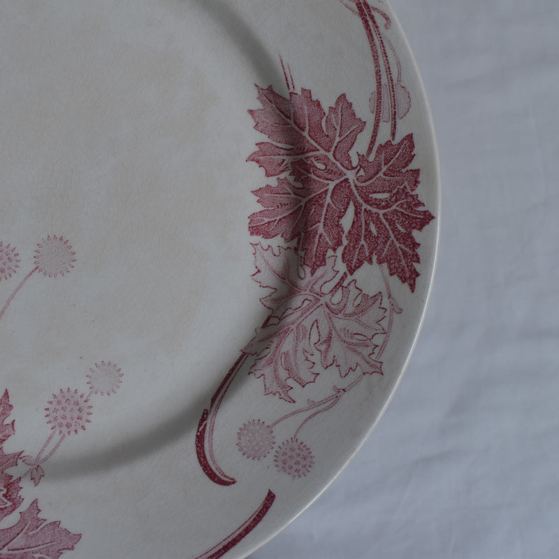 Antique plate K&G Luneville Platane Z2
