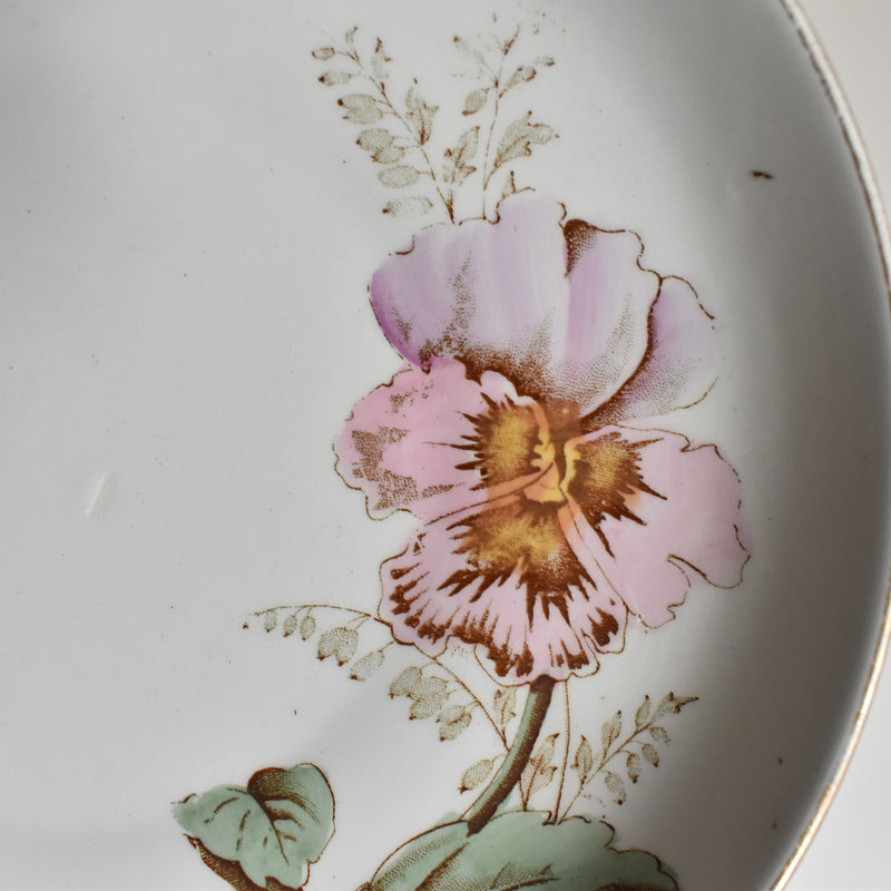 Antique Dessert Plate, K&G Lunéville, Pensées B