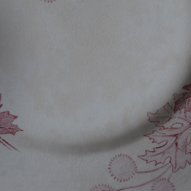 Antique plate K&G Luneville Platane Z2