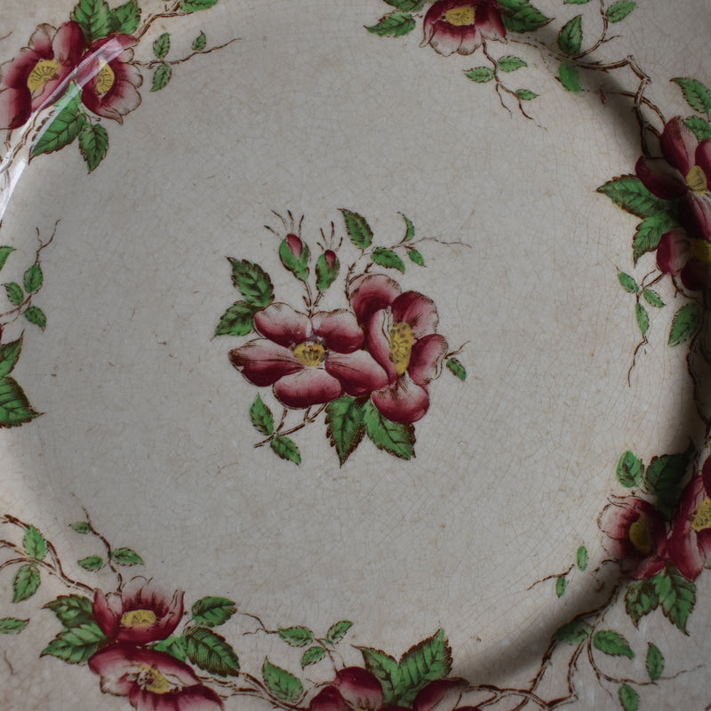 Antique Dessert Plate, U&C Sarreguemines Eglantier B