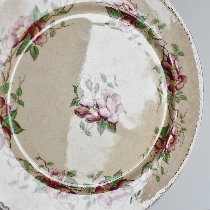 Antique Dessert Plate, U&C Sarreguemines Eglantier B