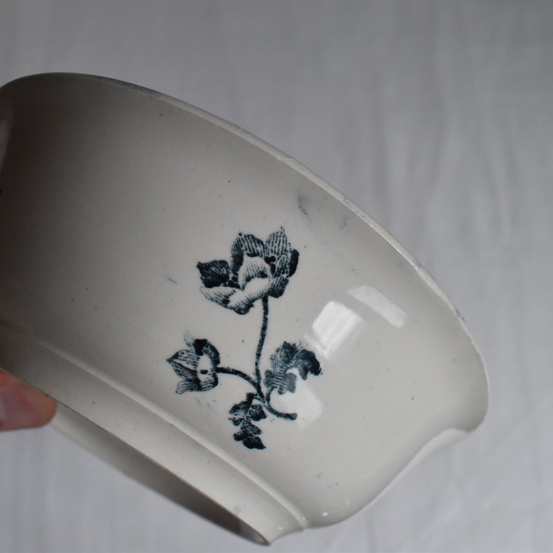 Antique Bowl - Sarreguemines Fontanges