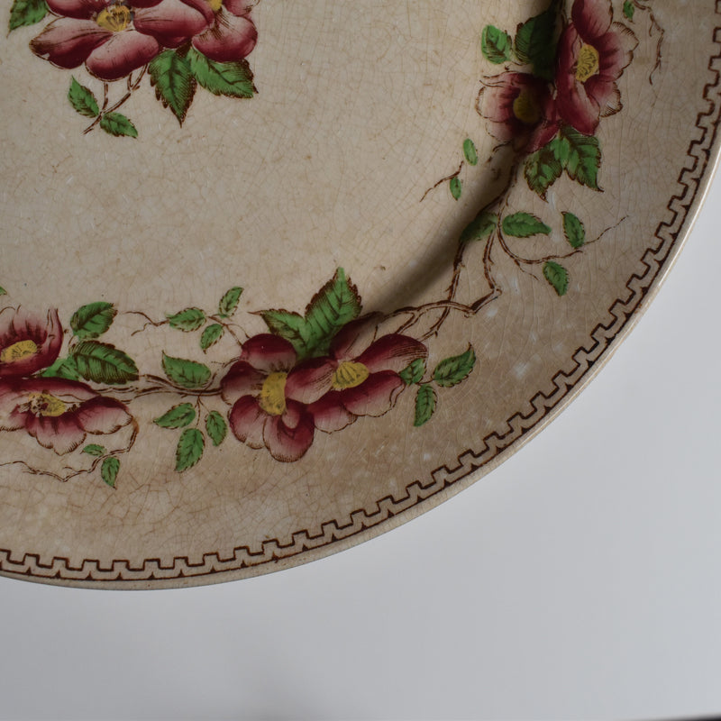 Antique Dessert Plate, U&C Sarreguemines Eglantier B