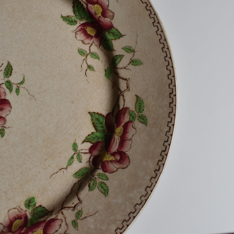 Antique Dessert Plate, U&C Sarreguemines Eglantier B