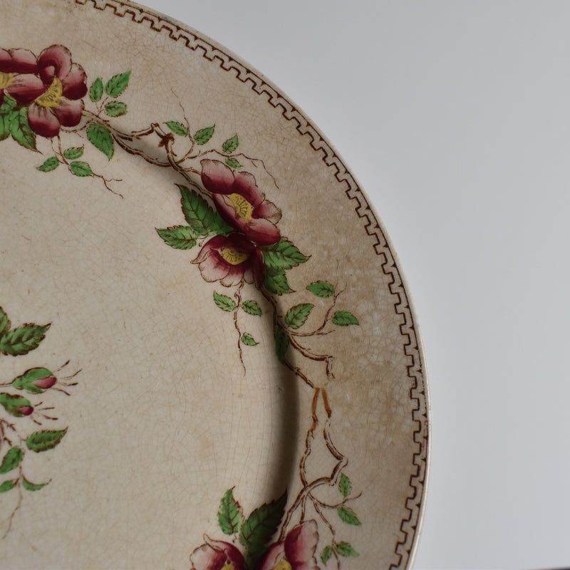 Antique Dessert Plate, U&C Sarreguemines Eglantier B