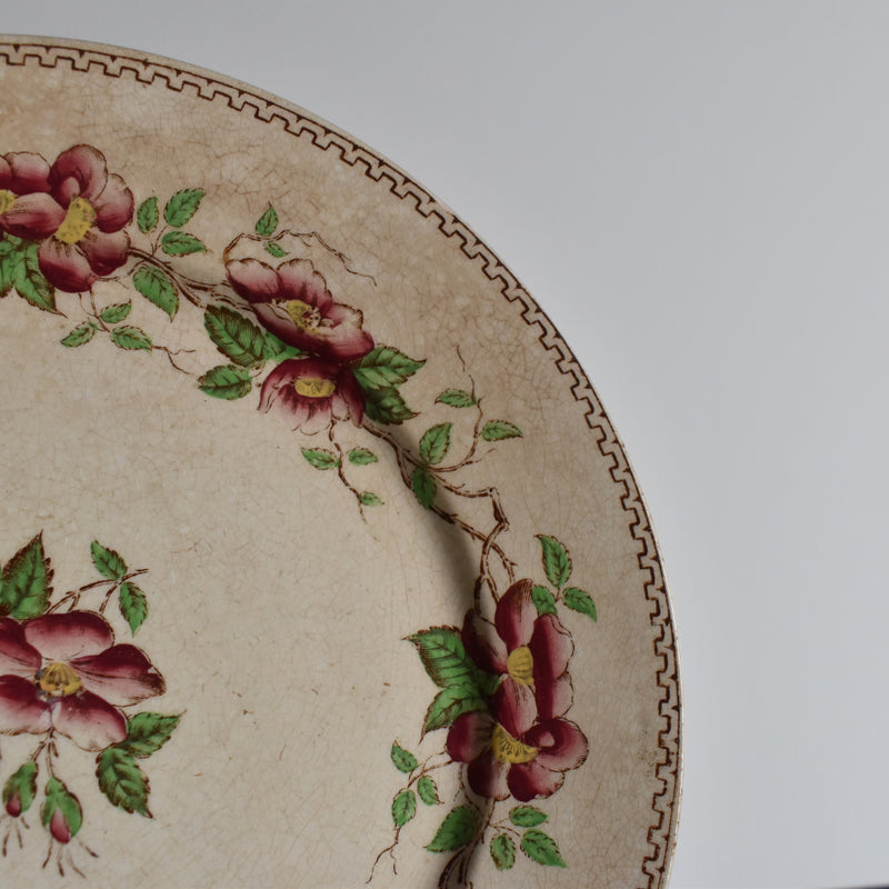 Antique Dessert Plate, U&C Sarreguemines Eglantier B