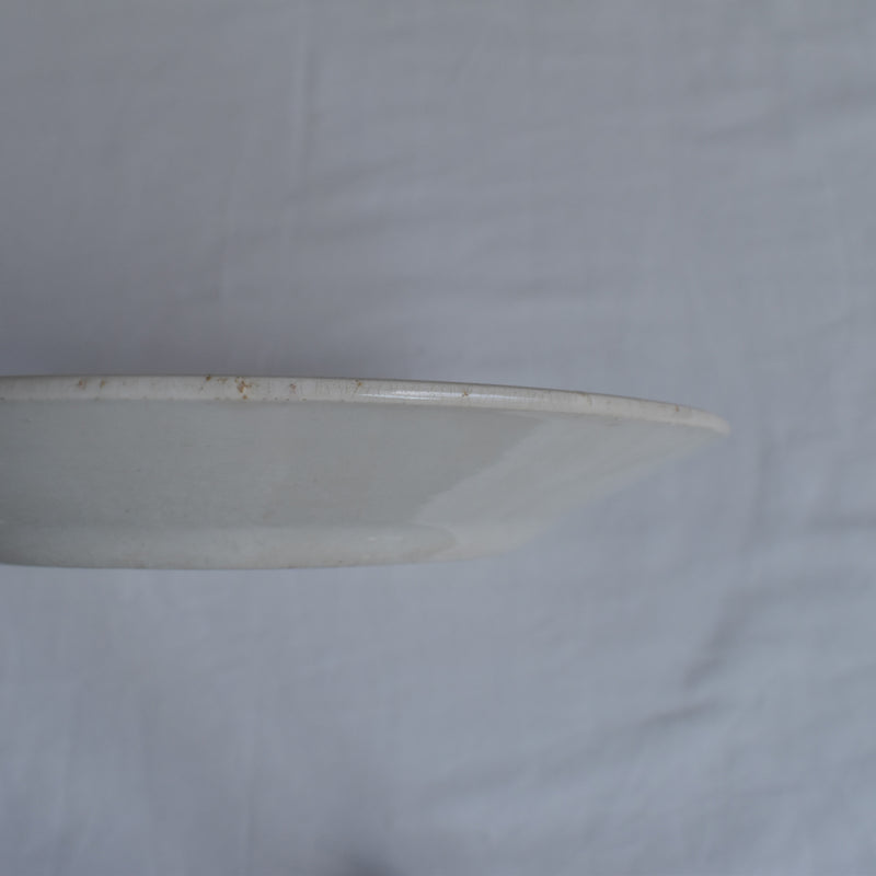 Antique Plate K&G Luneville Platane Z3