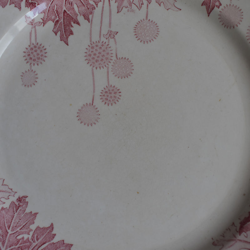 Antique Plate K&G Luneville Platane Z3