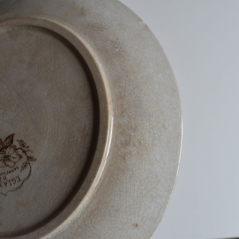 Antique Dessert Plate, U&C Sarreguemines Eglantier C