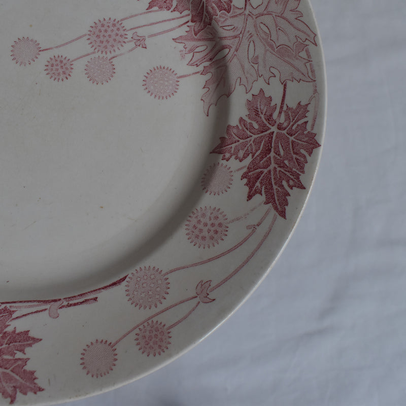 Antique Plate K&G Luneville Platane Z3
