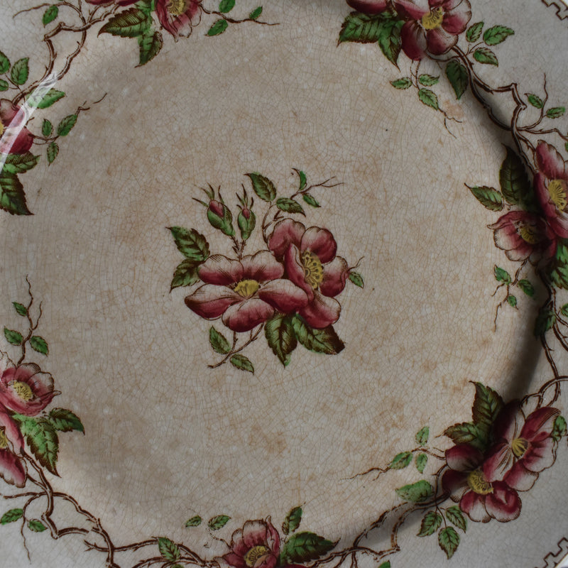 Antique Dessert Plate, U&C Sarreguemines Eglantier C