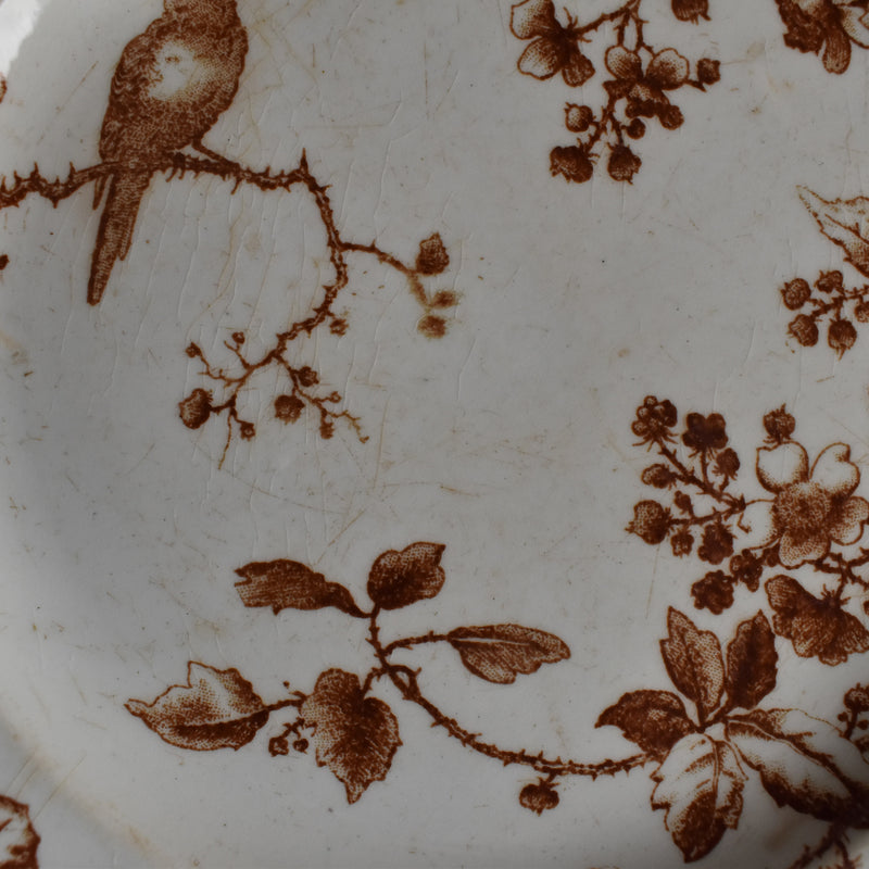 Antique Dessert Plate, Gien Fauvette C