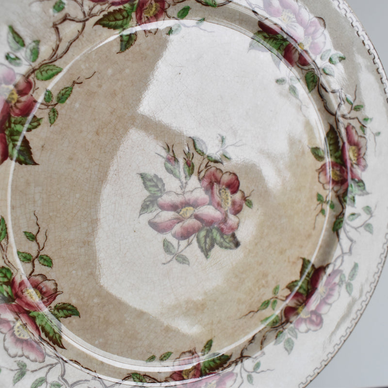 Antique Dessert Plate, U&C Sarreguemines Eglantier C