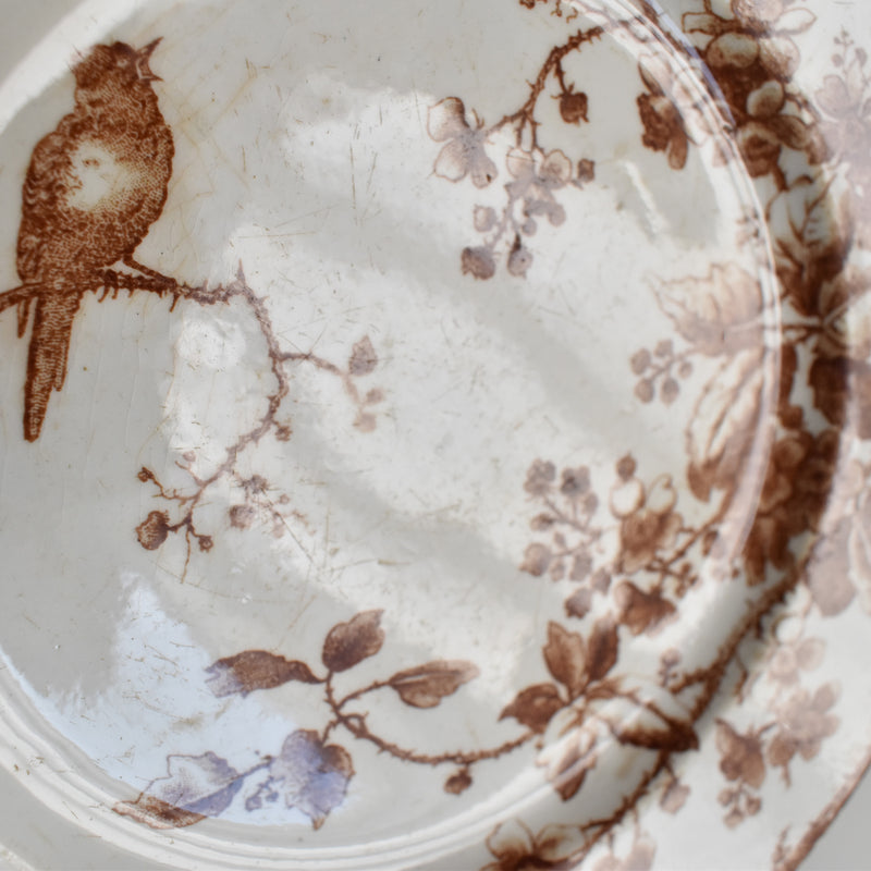 Antique Dessert Plate, Gien Fauvette C