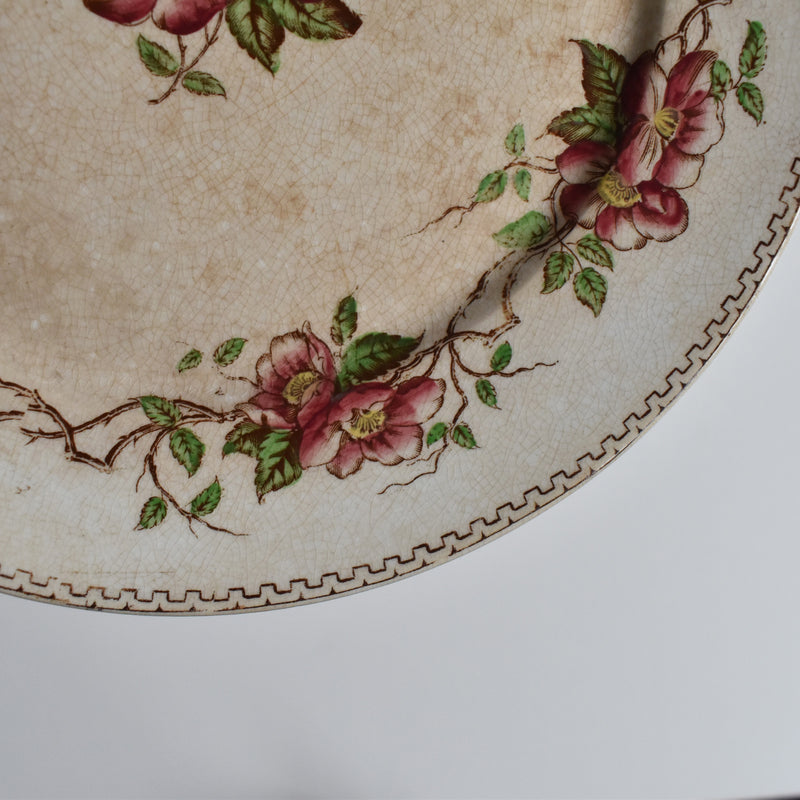 Antique Dessert Plate, U&C Sarreguemines Eglantier C