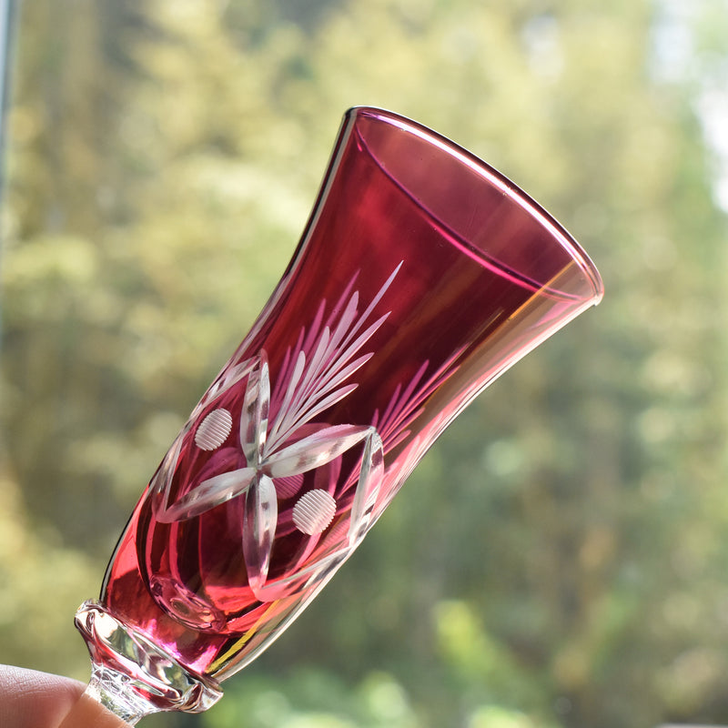 Vintage Champagne Glass - Pink
