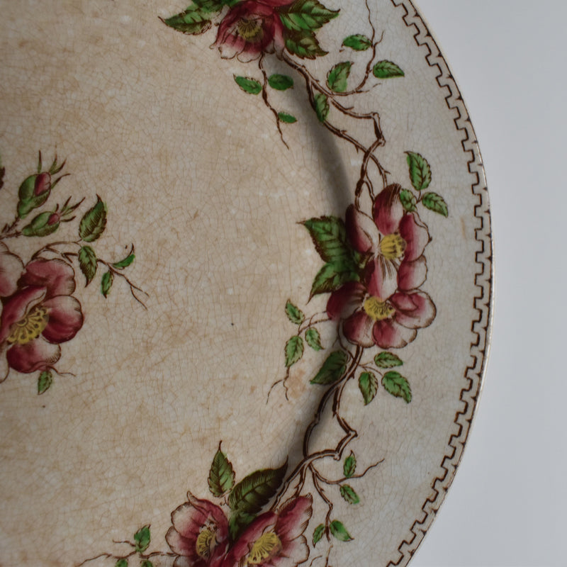 Antique Dessert Plate, U&C Sarreguemines Eglantier C