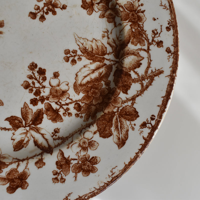 Antique Dessert Plate, Gien Fauvette C