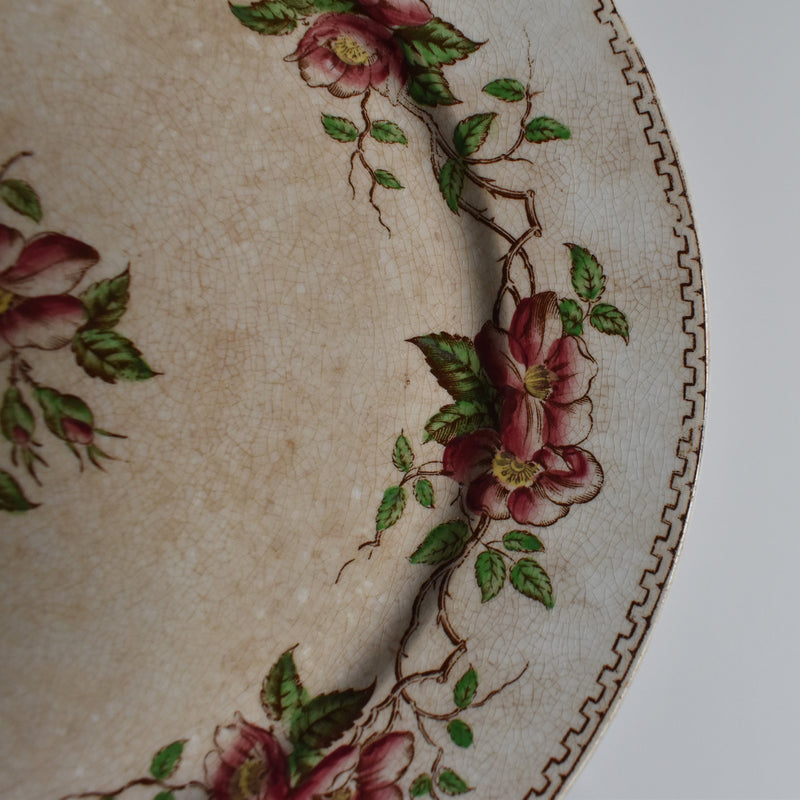 Antique Dessert Plate, U&C Sarreguemines Eglantier C