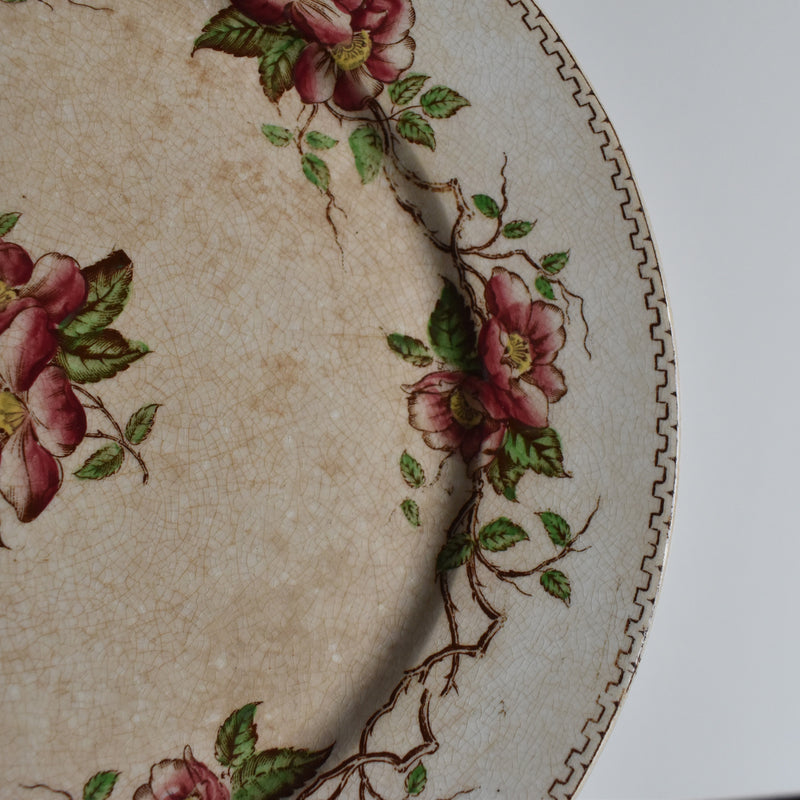 Antique Dessert Plate, U&C Sarreguemines Eglantier C