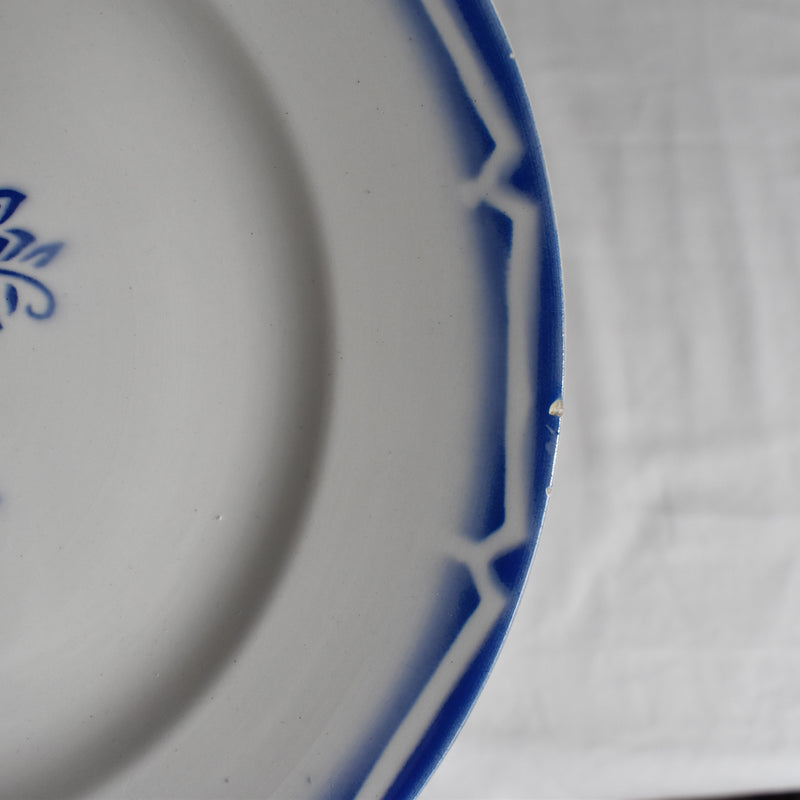 Vintage Plate, Digoin & Sarreguemines, Canebière F