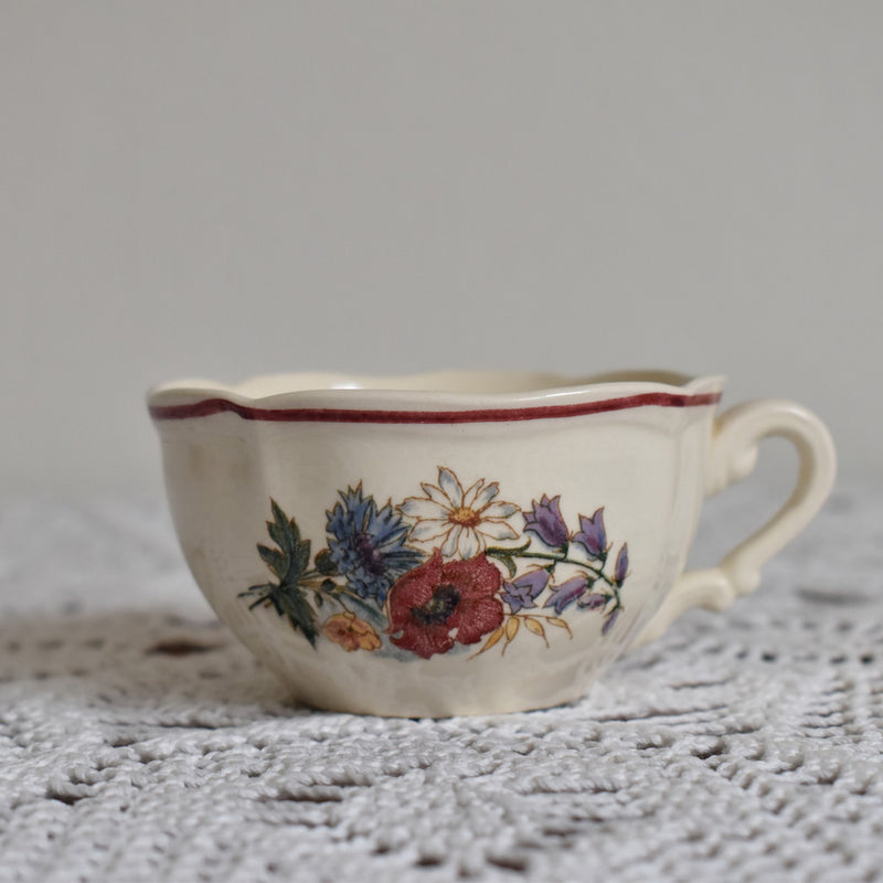 Vintage Cup & Saucer Digoin & Sarreguemines Agreste A