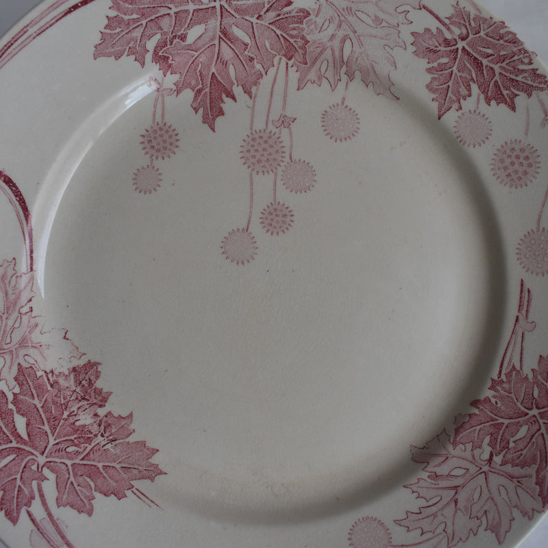 アンティークプレート K&Gリュネヴィル Platane Z4