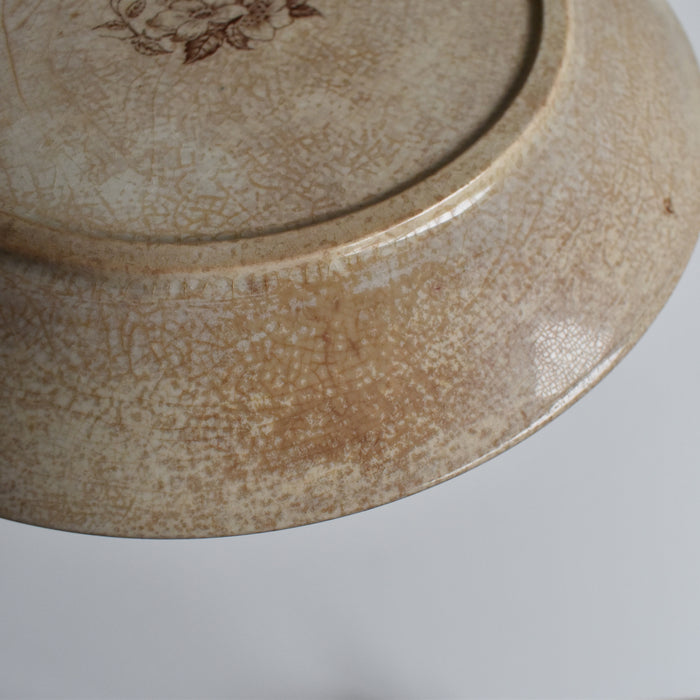 アンティークデザートプレート U&Cサルグミンヌ Eglantier D