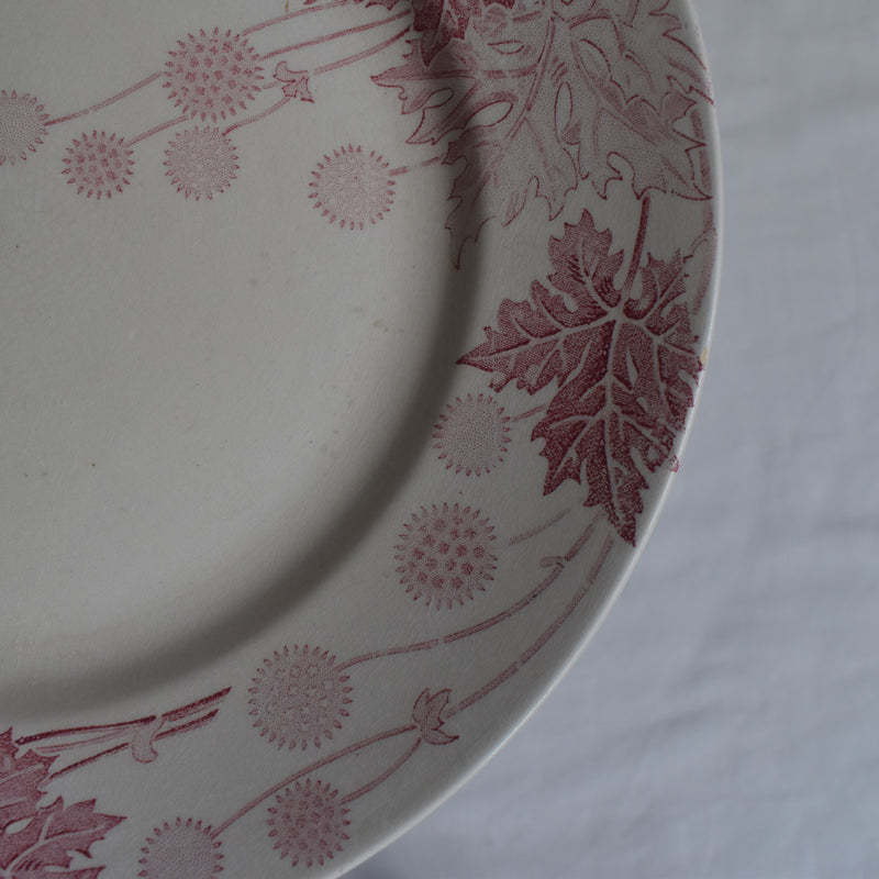 アンティークプレート K&Gリュネヴィル Platane Z4