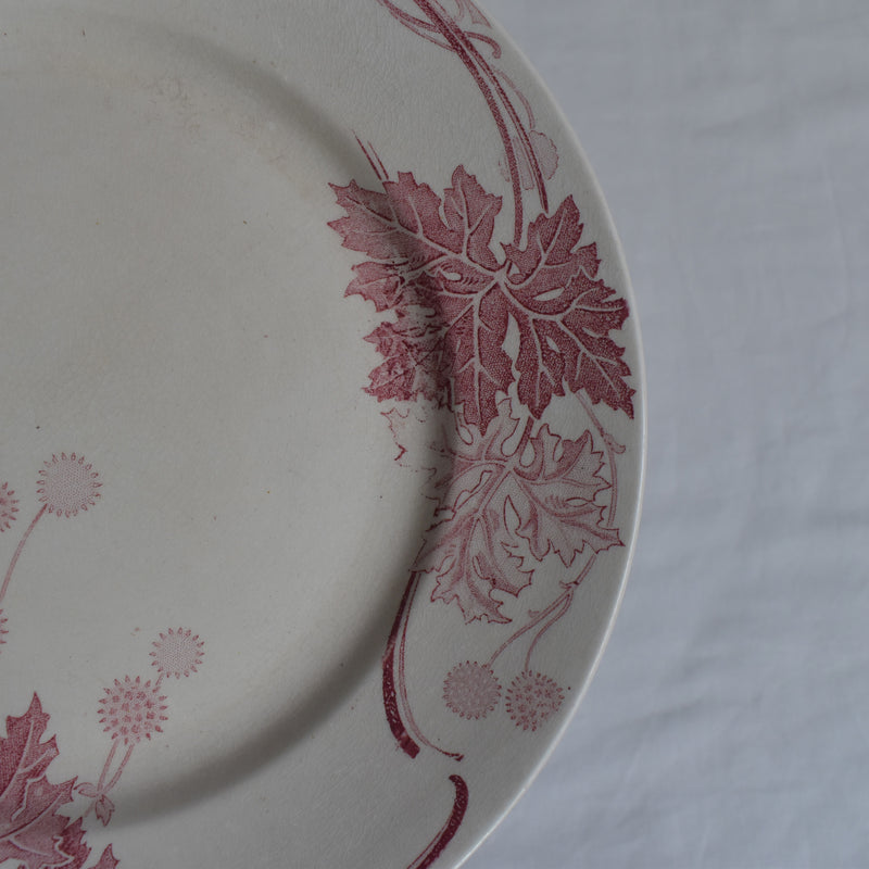 アンティークプレート K&Gリュネヴィル Platane Z4